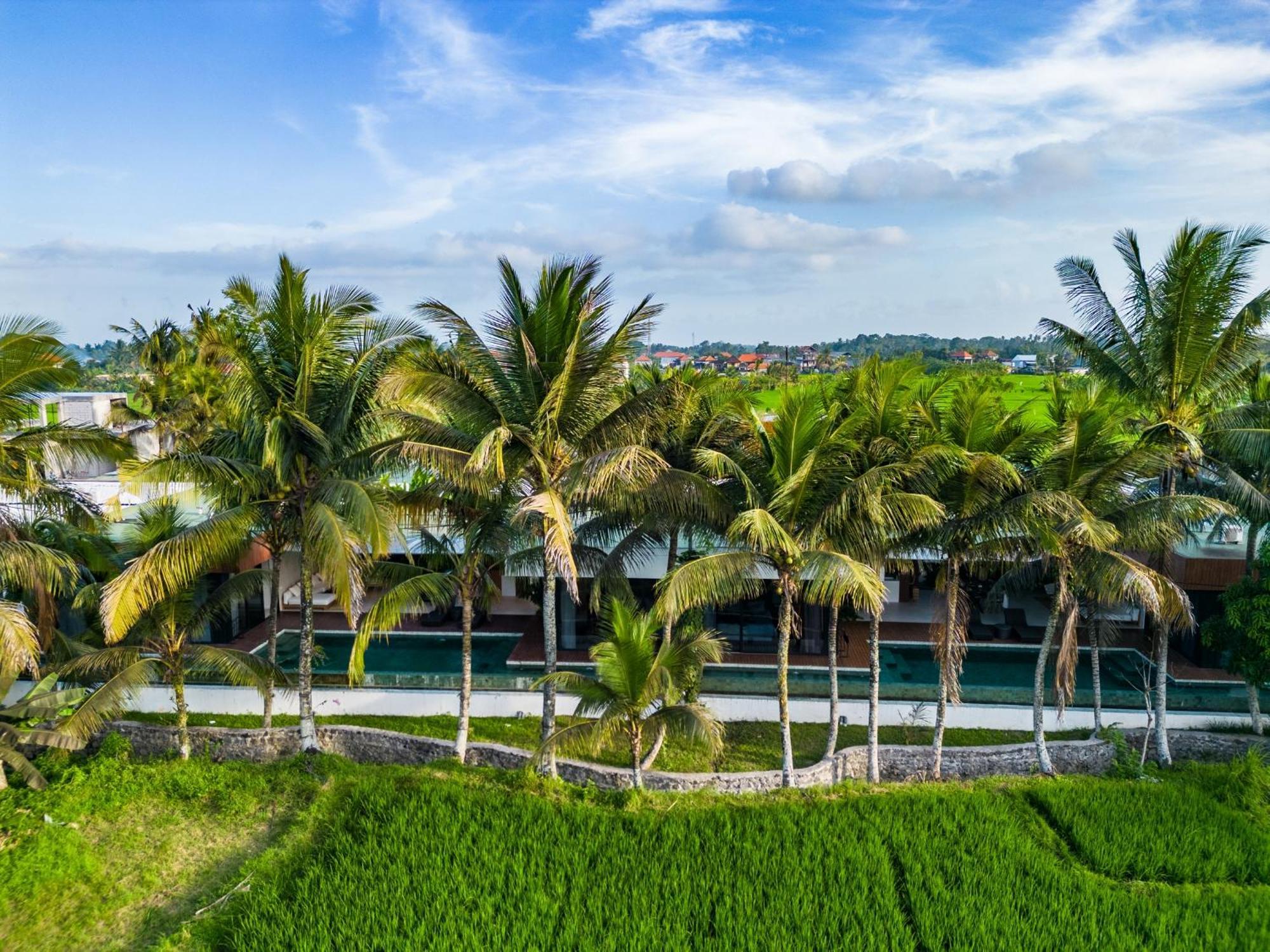 Green Flow Ubud Villa 20 Εξωτερικό φωτογραφία