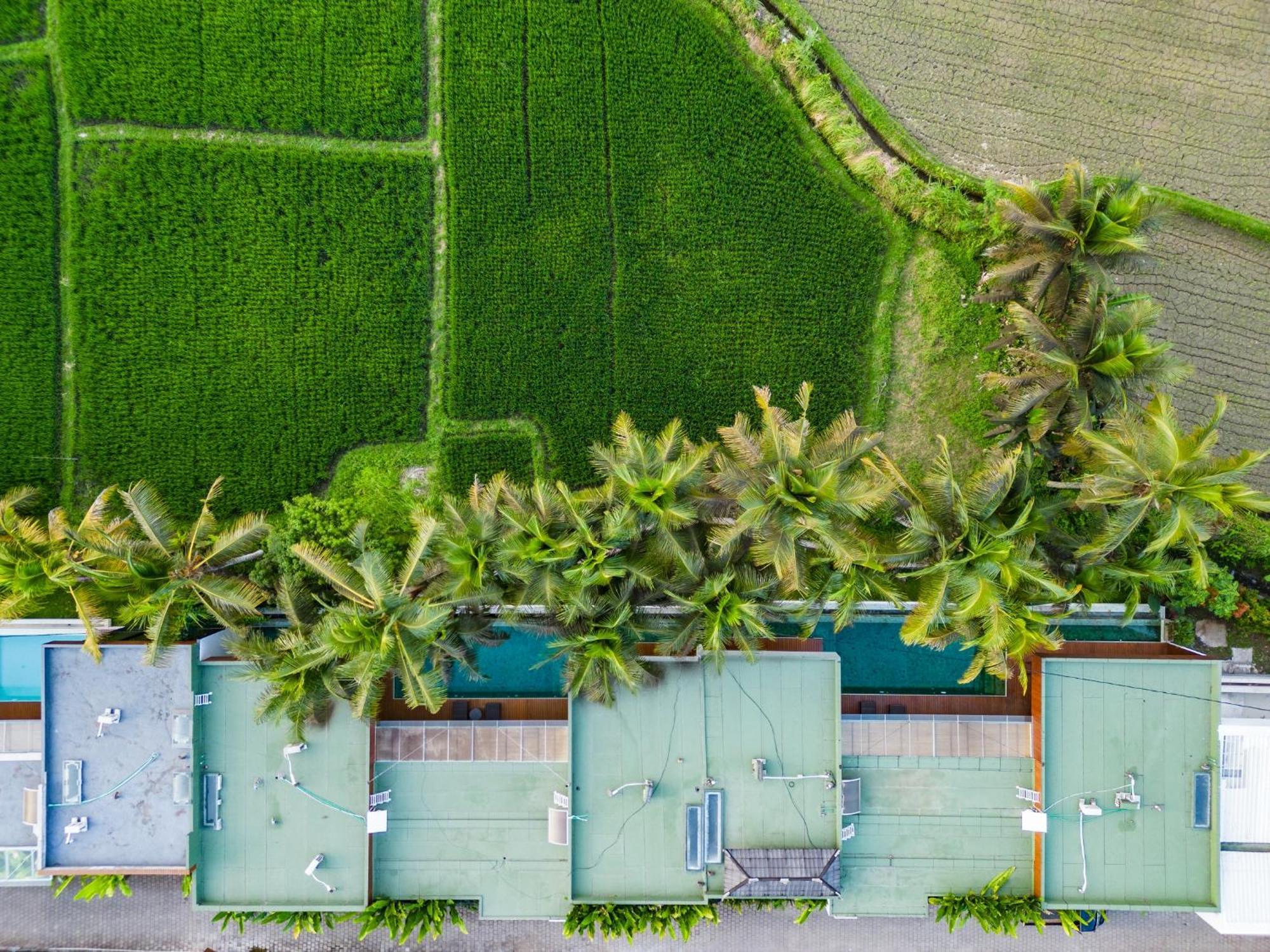Green Flow Ubud Villa 20 Εξωτερικό φωτογραφία